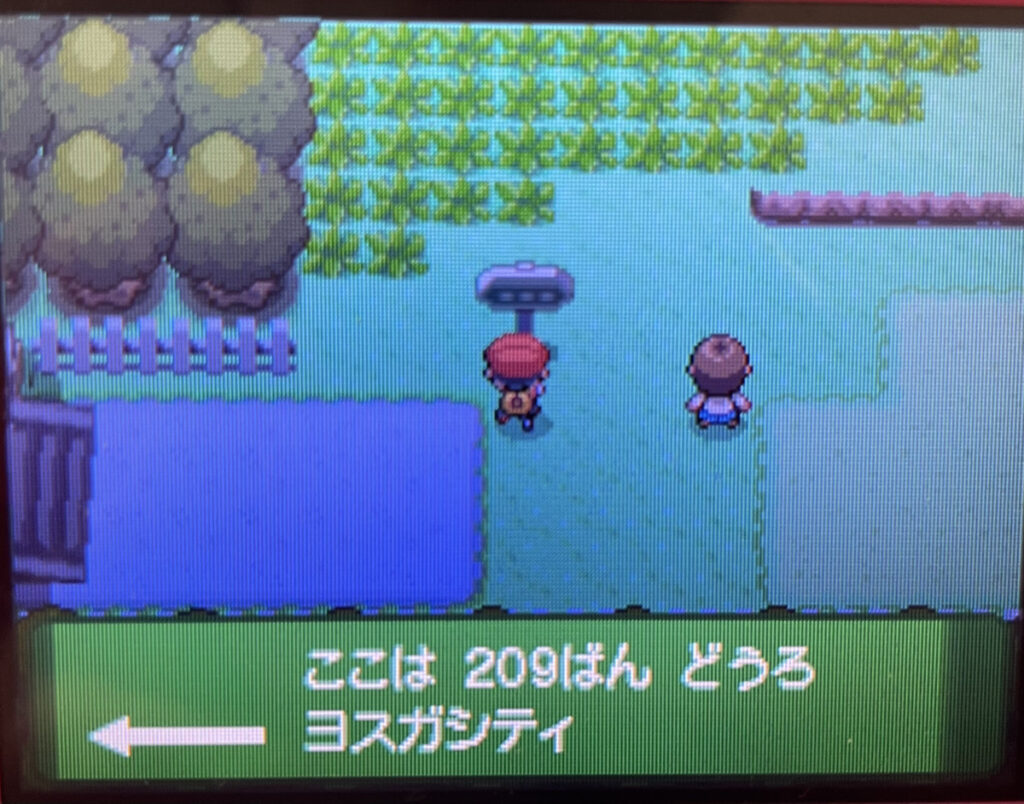 ポケモンパールで色違い縛り Br Span Style Font Size 14px Vsトバリジム Span ちゅぴ工房